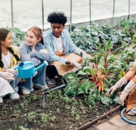 Cultivating the Educators’ Garden: A Journey to Teacher Wellness